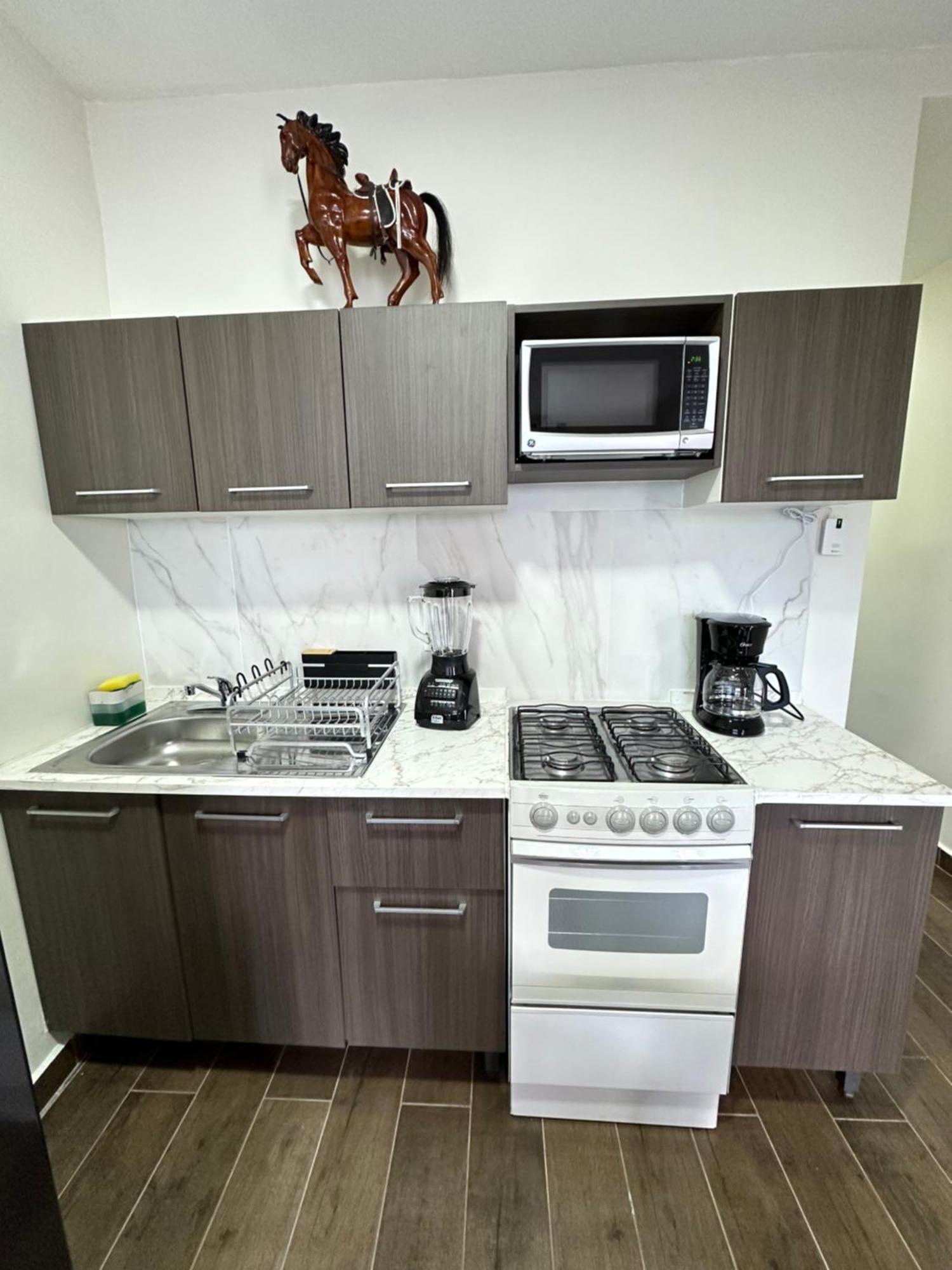 멕시코 시 Departamento Roma 1 Cdmx 아파트 외부 사진